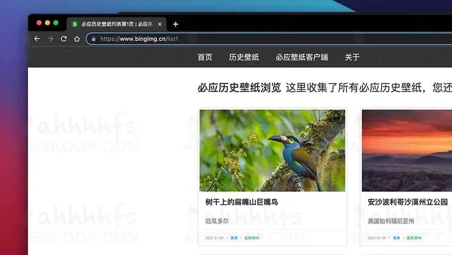 必应每日壁纸 历史壁纸浏览下载 4K 必应每日壁纸-历史壁纸浏览下载-4K