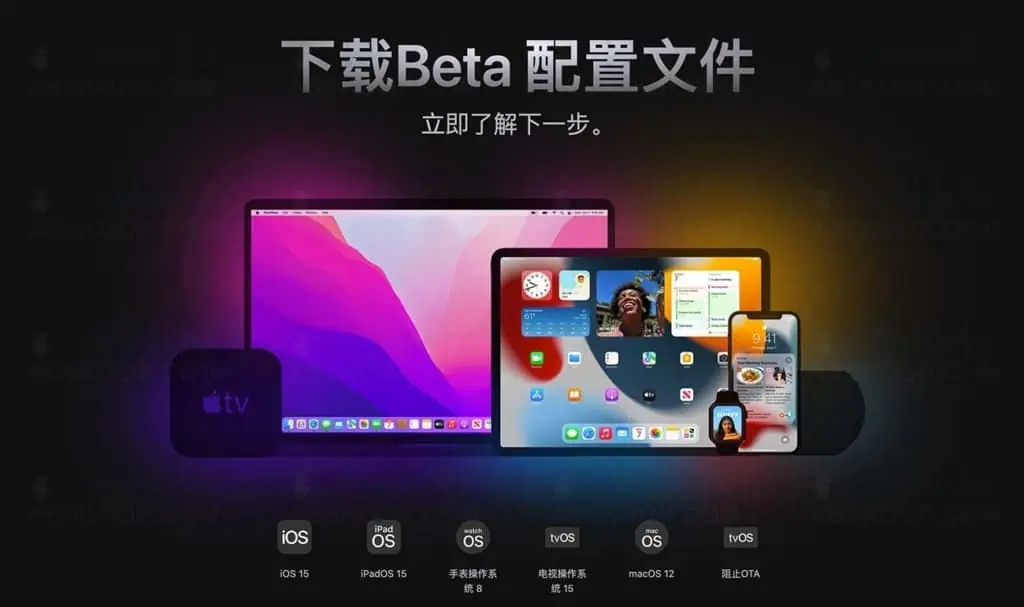 2022 Download Beta Profiles 免费下载苹果Beta 配置描述文件和IPSW文件 Download Beta Profiles 免费下载苹果Beta 配置描述文件和IPSW文件