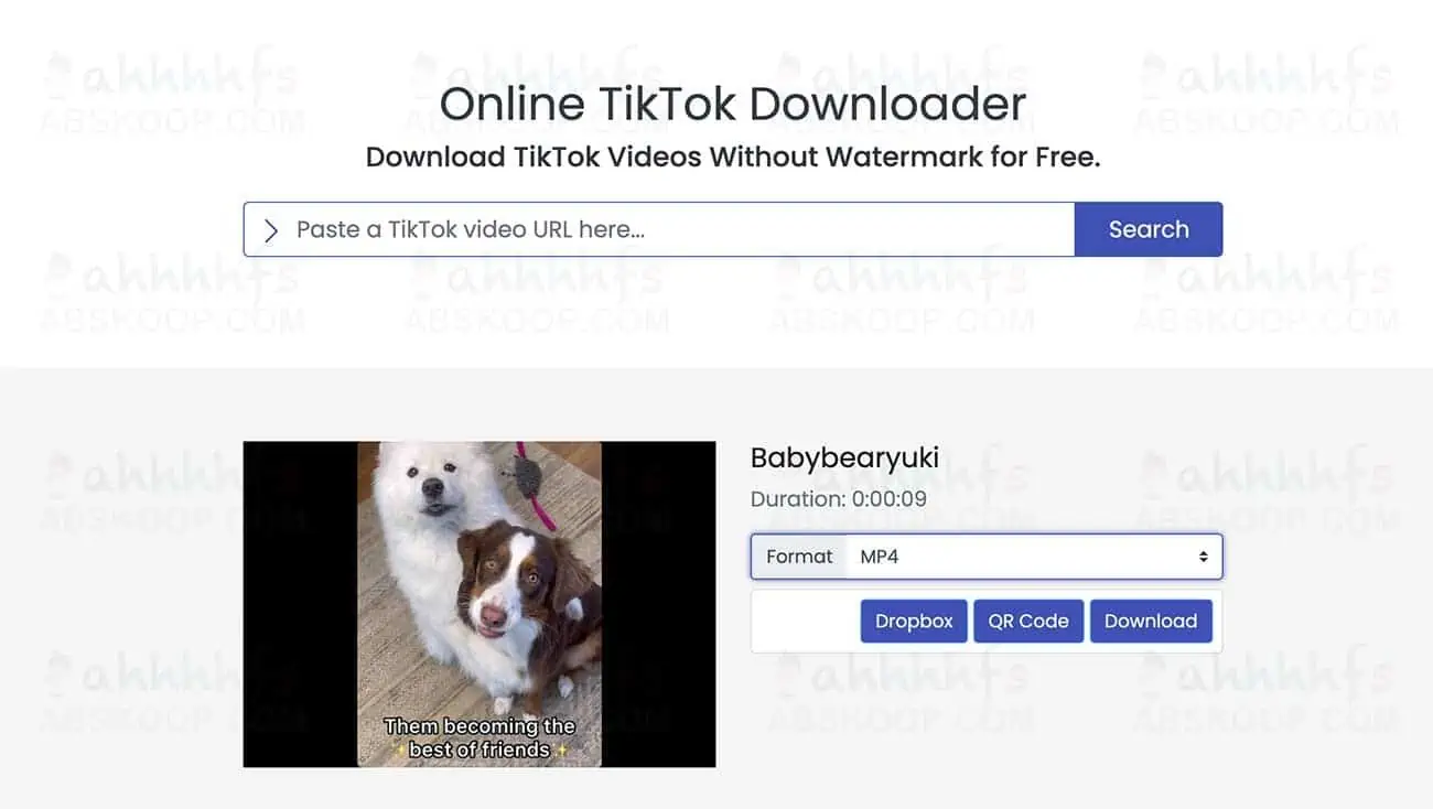免费在线Tiktok视频去水印下载 TikTok视频下载器:savetik 免费在线Tiktok视频去水印下载 TikTok视频下载器