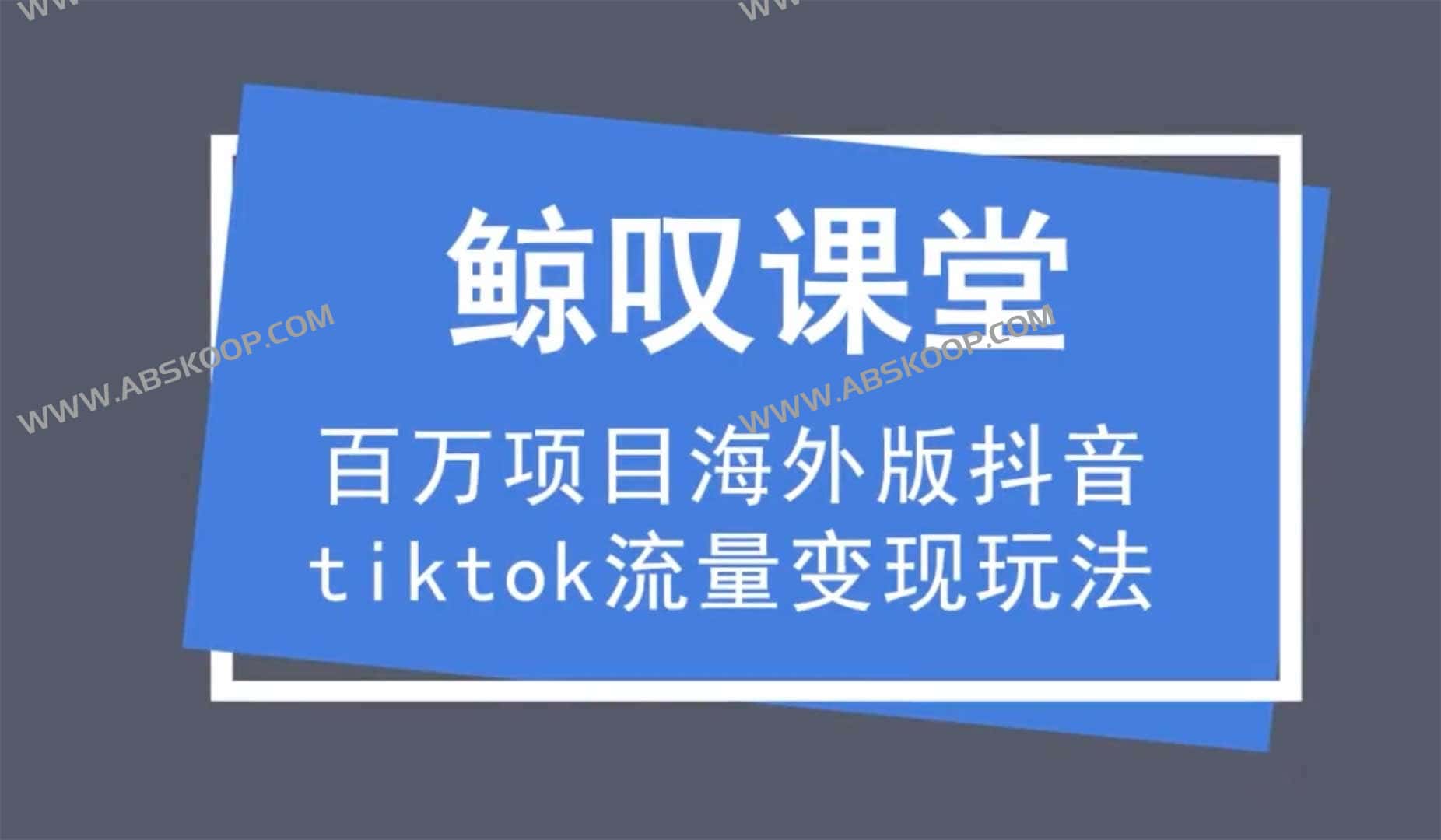 海外版抖音tiktok流量变现玩法 海外版抖音tiktok流量变现玩法