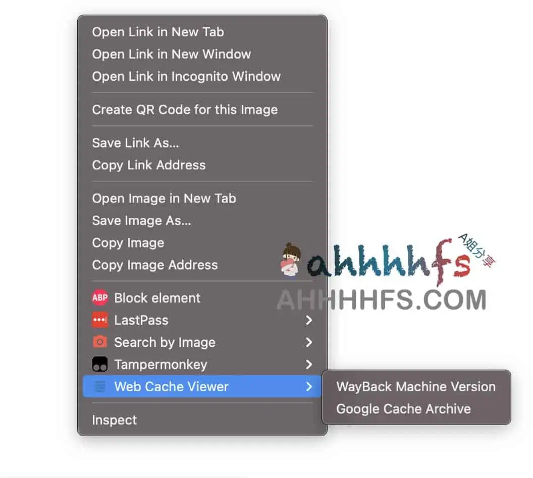 Google 页面快照/网页缓存查看器-Web Cache Viewer Google 页面快照/网页缓存查看器-Web Cache Viewer