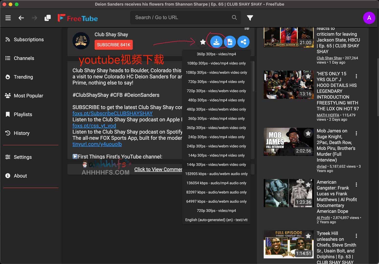 免费开源YouTube第三方客户端 去广告-FreeTube 免费开源YouTube第三方客户端 去广告-FreeTube