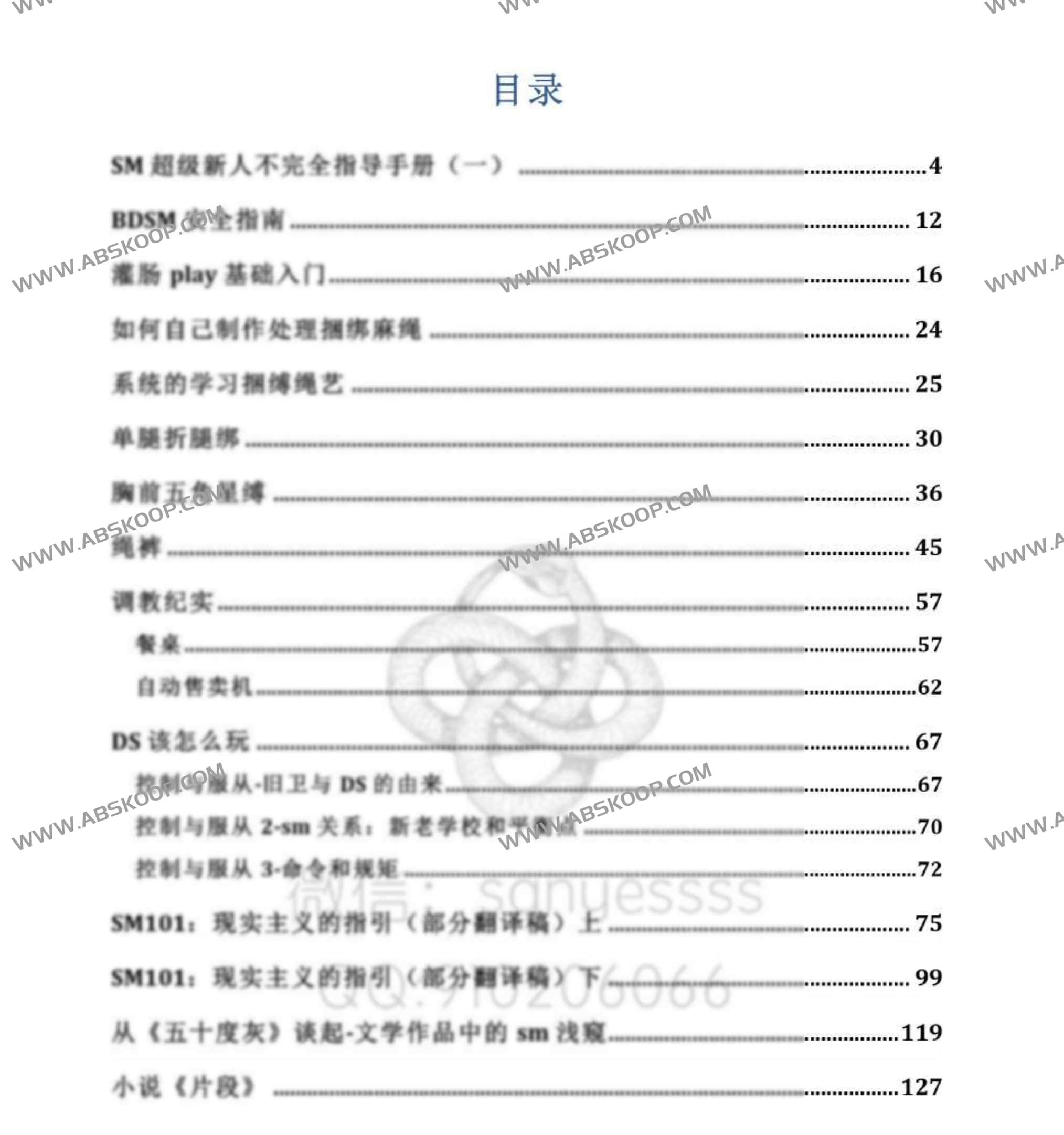 某英文字母学习手册 大人版 某英文字母学习手册 大人版