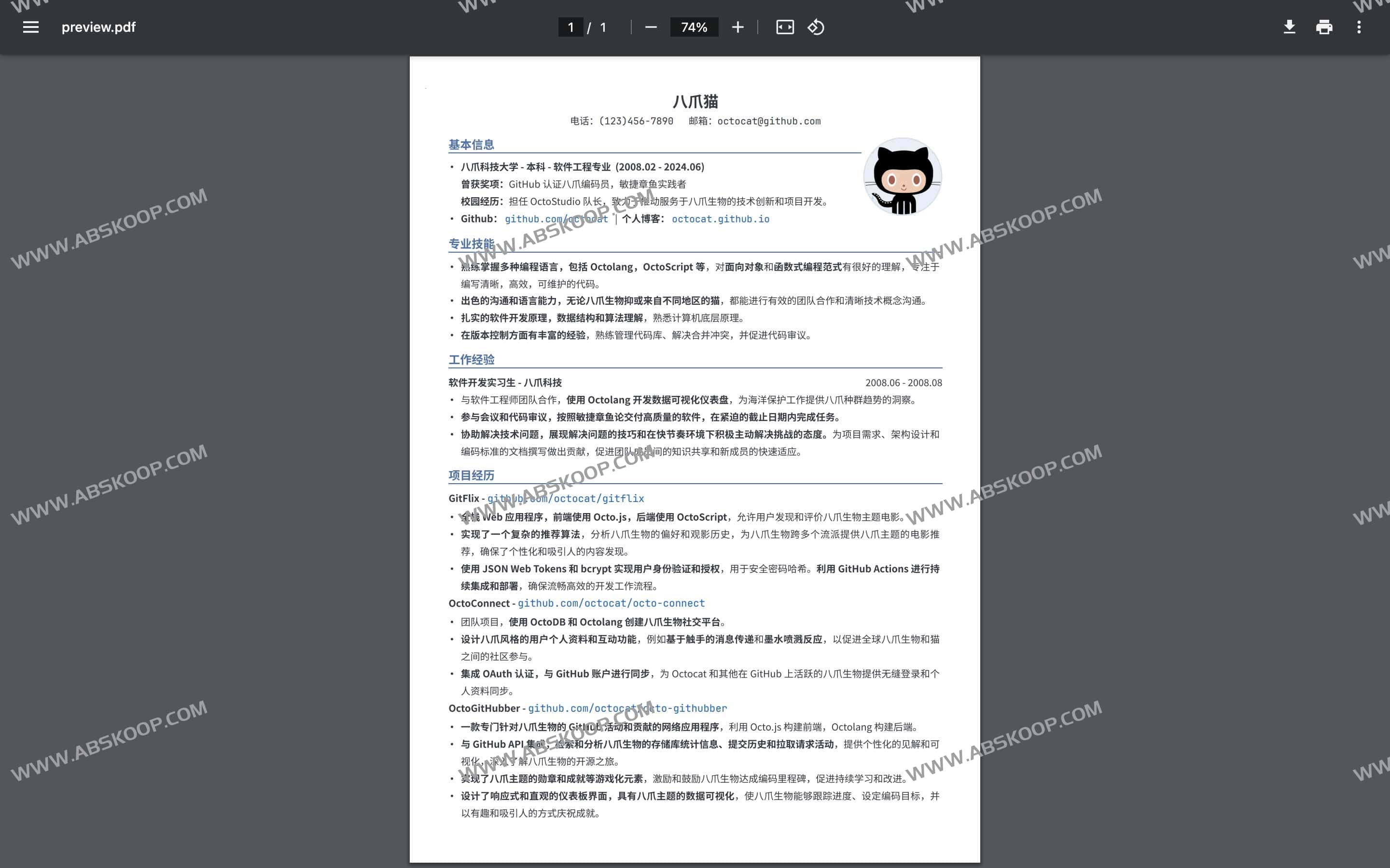 LapisCV-开箱即用简历模版 易于编辑 所见即所得 LapisCV-开箱即用简历模版 易于编辑 所见即所得