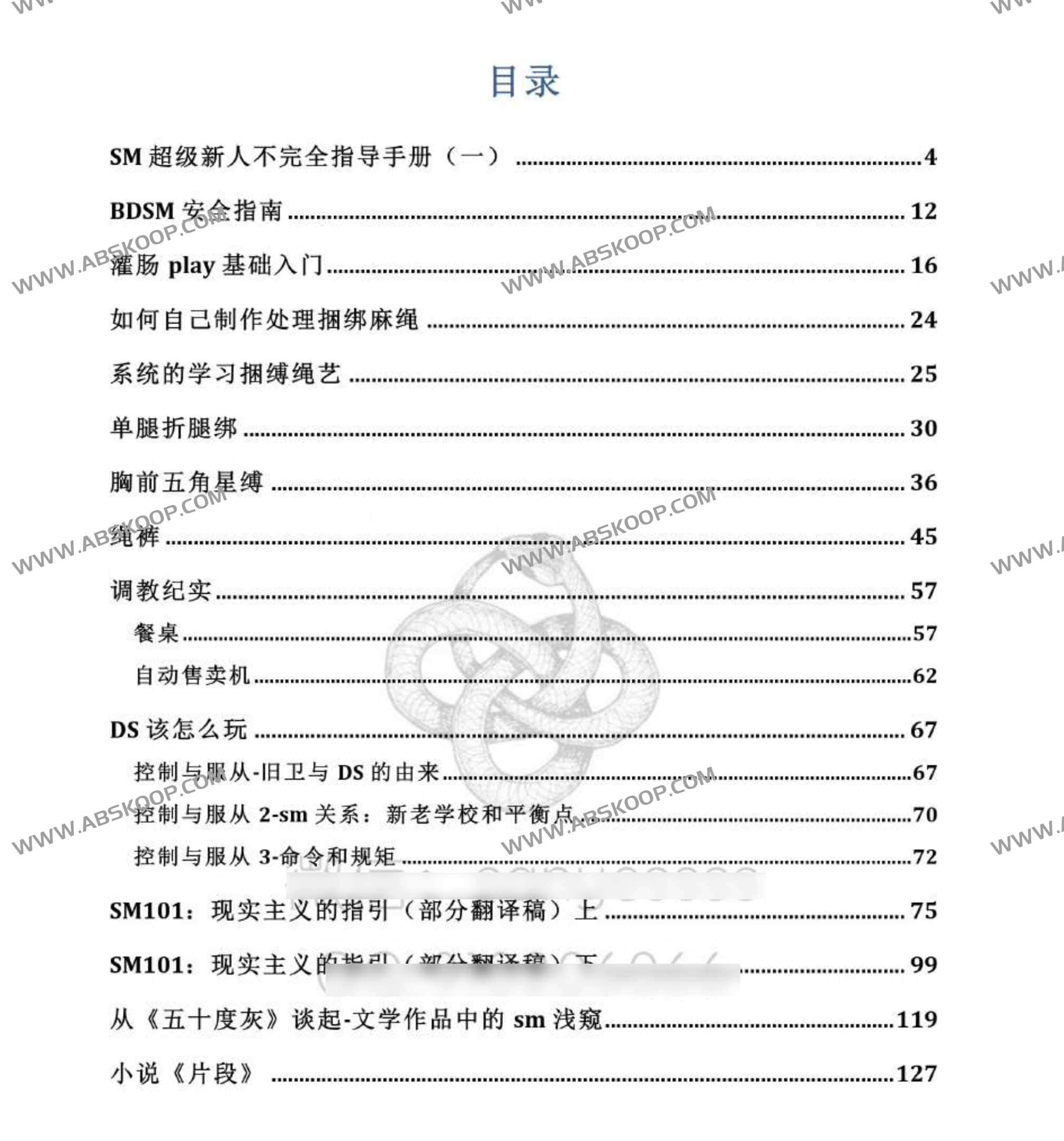 大人英文字母学习手册 英文字母学习手册