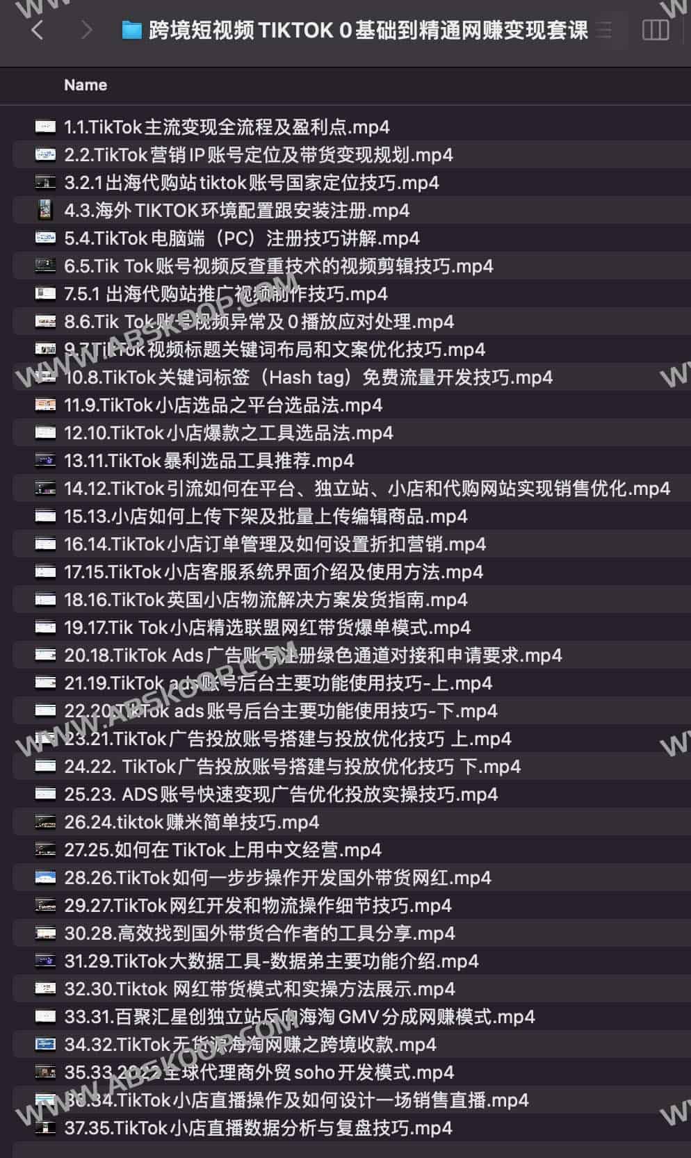 跨境短视频TIKTOK 0基础到精通网赚变现套课,跨境短视频独立站带货变现技巧 跨境短视频TIKTOK 0基础到精通网赚变现套课,跨境短视频独立站带货变现技巧