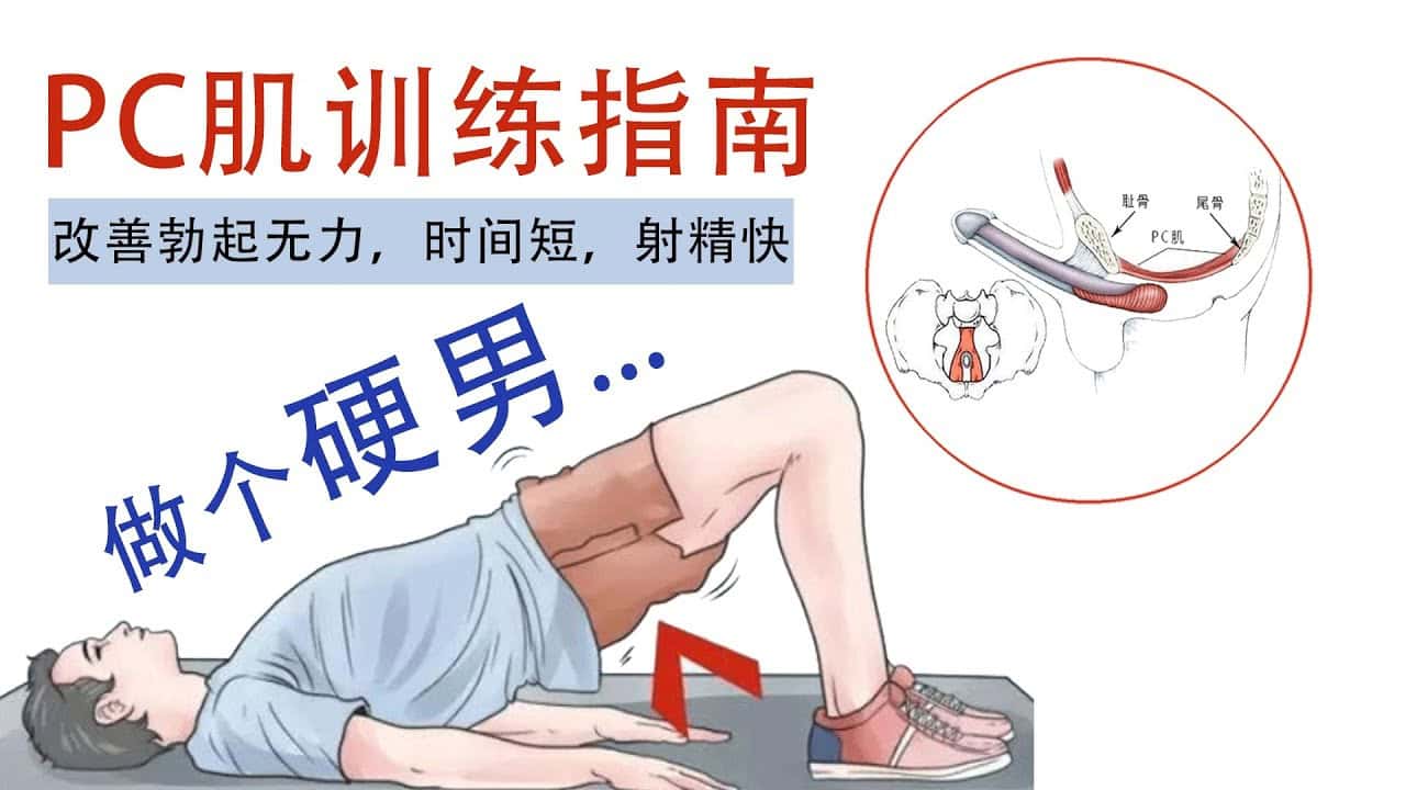每天10分钟,训练PC肌,提升幸福力(完结) 每天10分钟,训练PC肌,提升xing福力(完结)