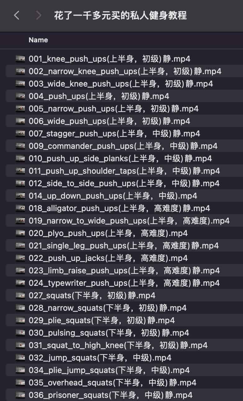 私人健身教程 私人健身教程