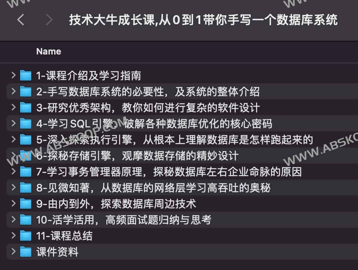 技术大牛成长课,从0到1带你手写一个数据库系统 技术大牛成长课,从0到1带你手写一个数据库系统
