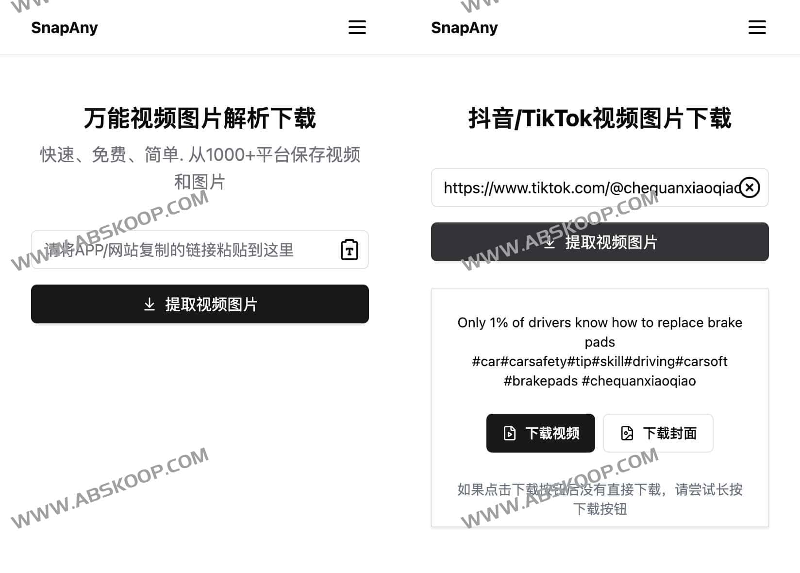 SnapAny-万能视频图片解析下载工具 SnapAny-万能视频图片解析下载工具