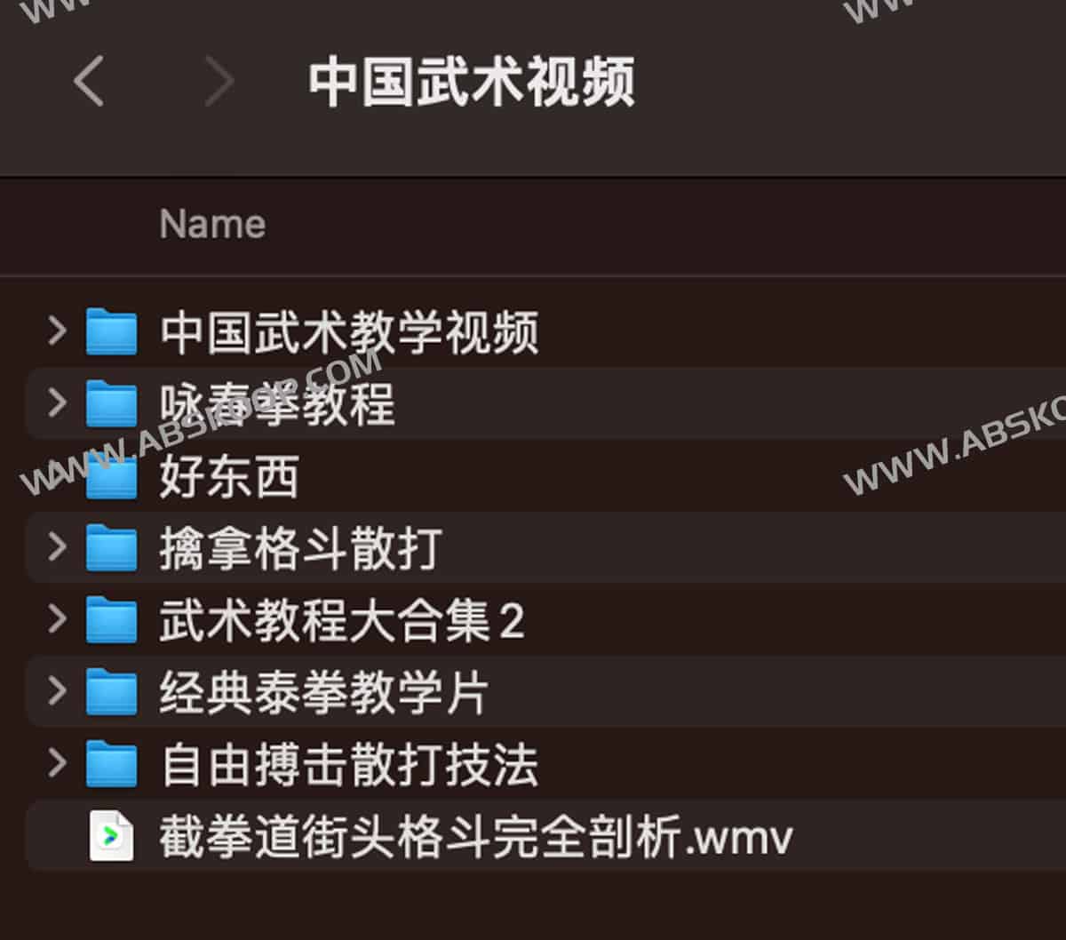 中国武术教学视频 中国武术教学视频