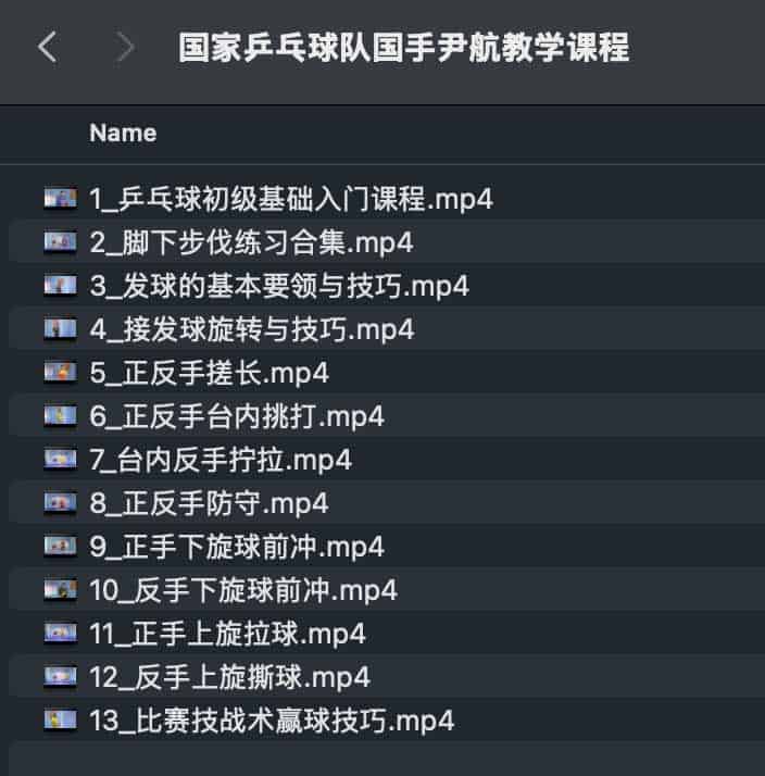国家乒乓球队国手尹航教学课程 国家乒乓球队国手尹航教学课程