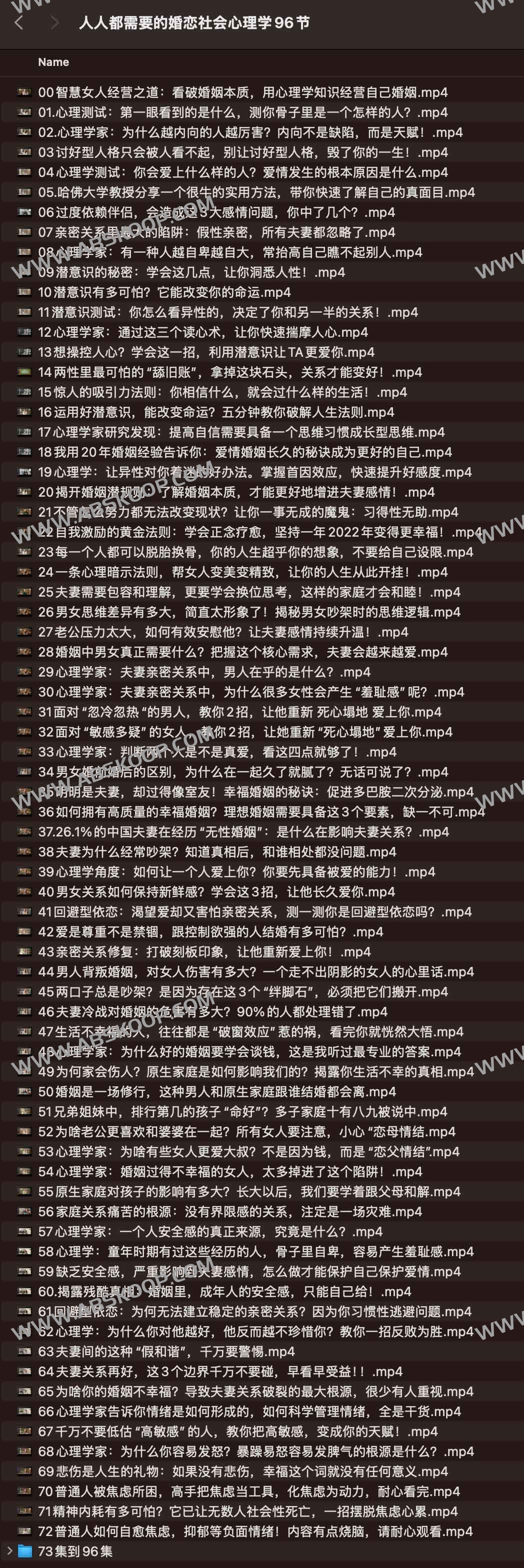 人人都需要的婚恋社会心理学96节 人人都需要的婚恋社会心理学96节