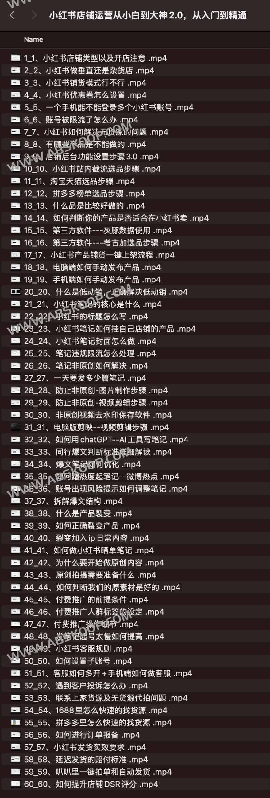 小红书店铺运营从小白到大神2.0,从入门到精通 小红书店铺运营从小白到大神2.0,从入门到精通