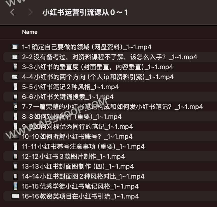 小红书运营引流课从0~1 小红书运营引流课从0~1