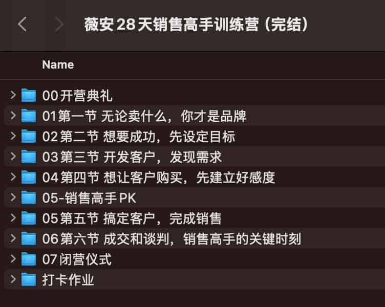 薇安28天销售高手训练营(完结) 薇安28天销售高手训练营(完结)