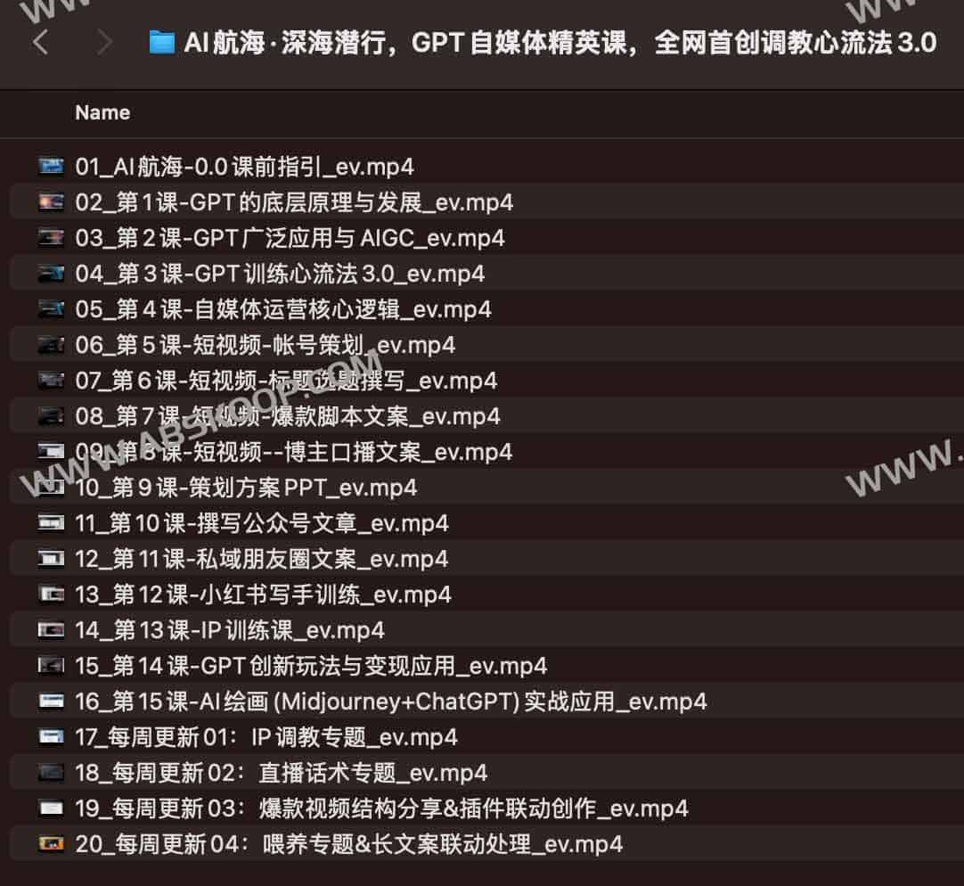 AI航海·深海潜行,GPT自媒体精英课,全网首创调教心流法3.0 AI航海·深海潜行,GPT自媒体精英课,全网首创调教心流法3.0