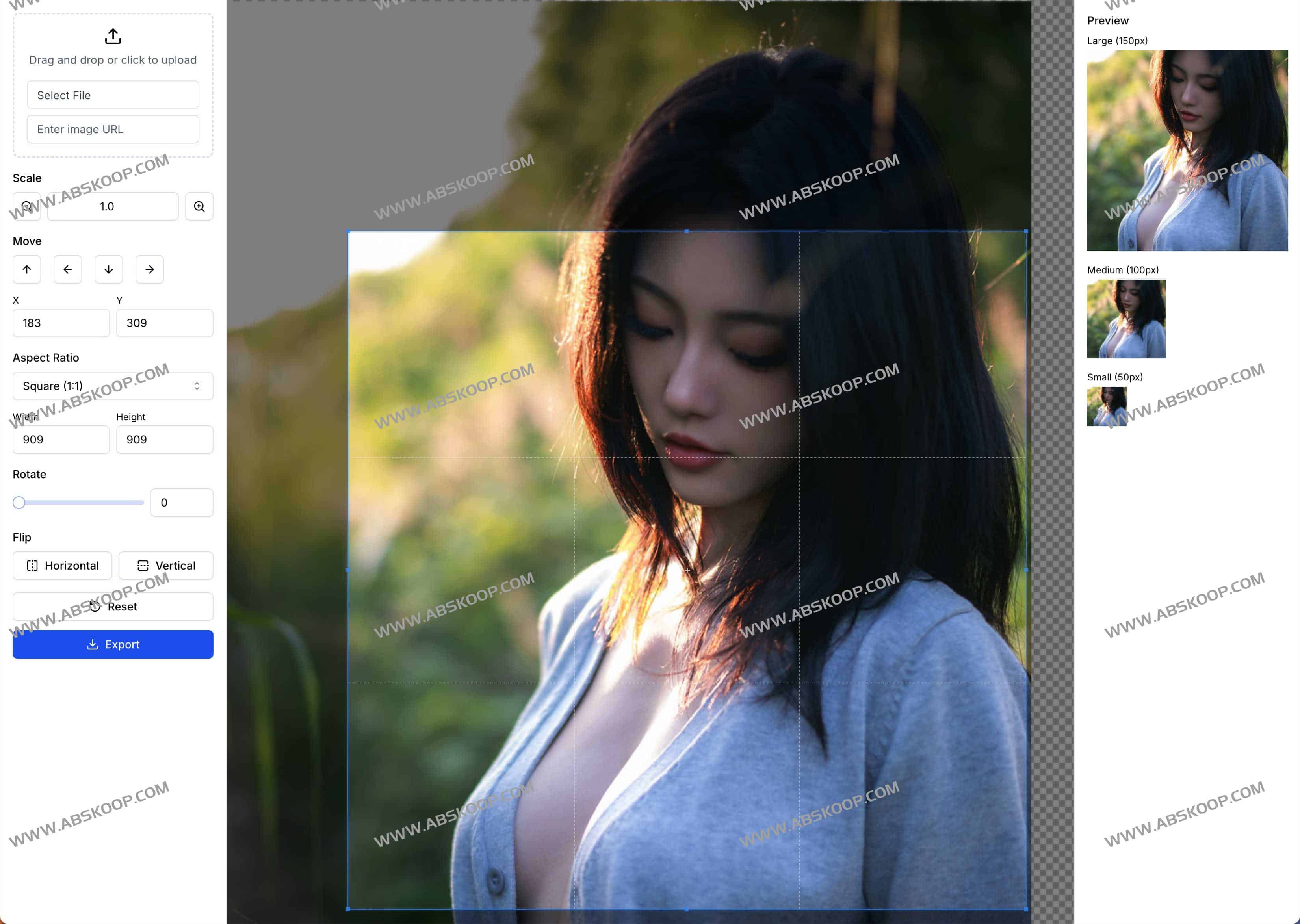 免费安全的在线图像裁剪与编辑神器:Crop Image 免费安全的在线图像裁剪与编辑神器:Crop Image
