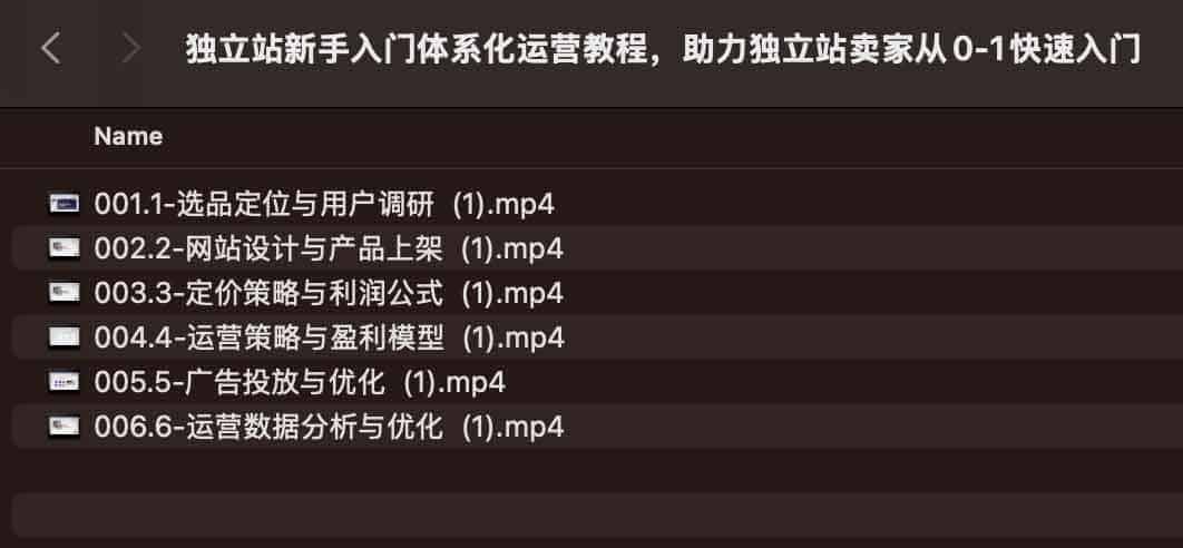 独立站新手入门体系化运营教程,助力独立站卖家从0-1快速入门 独立站新手入门体系化运营教程,助力独立站卖家从0-1快速入门