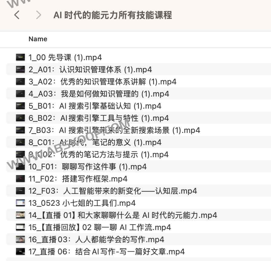 AI 时代的能元力所有技能课程 AI 时代的能元力所有技能课程