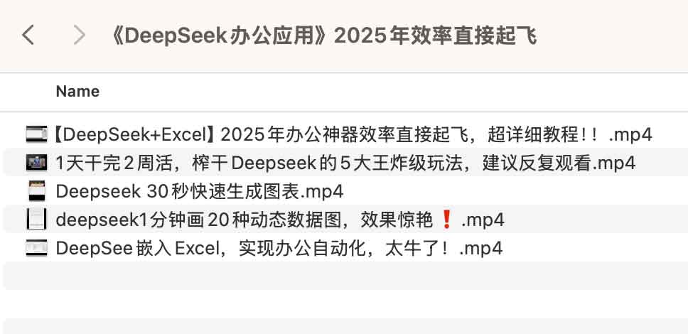 《DeepSeek办公应用》2025年效率直接起飞 《DeepSeek办公应用》2025年效率直接起飞
