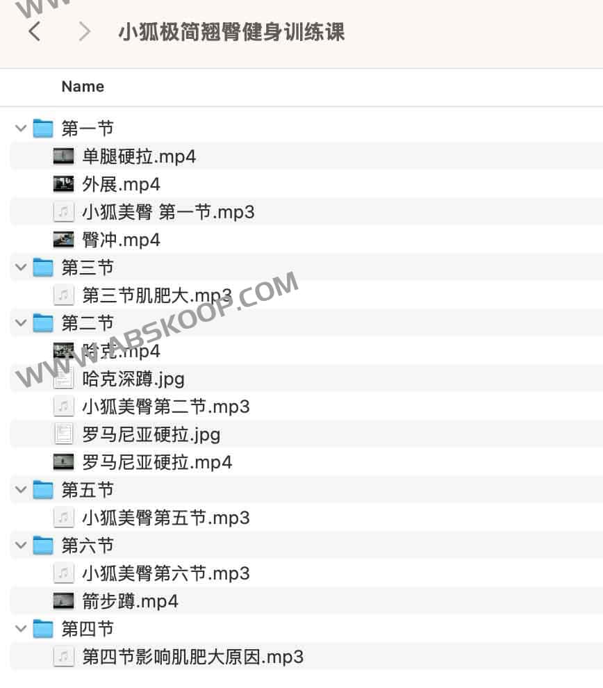 小狐极简翘臀健身训练课 小狐极简翘臀健身训练课