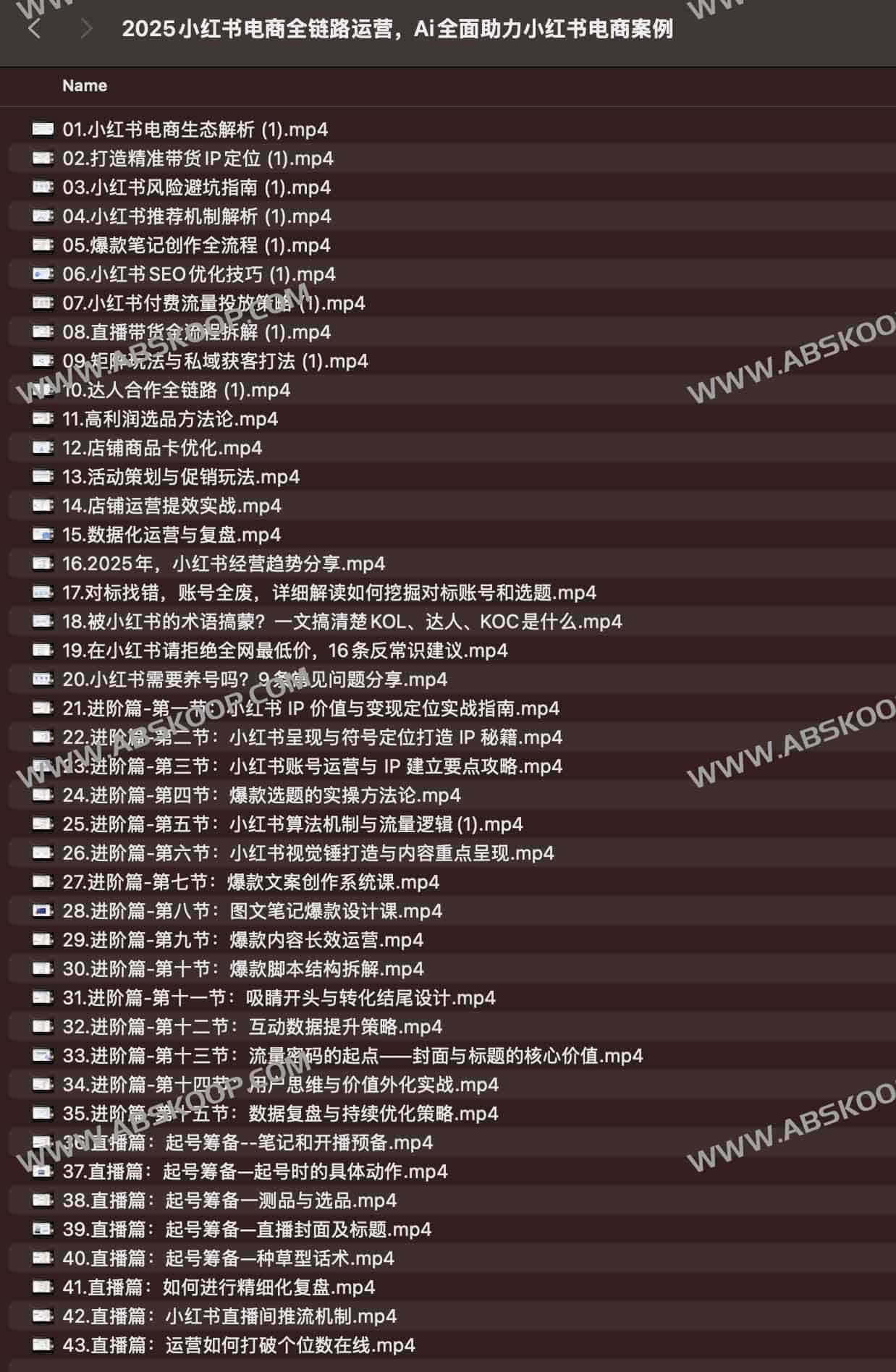 小红书电商全链路运营,Ai全面助力小红书电商案例 2025小红书电商全链路运营,Ai全面助力小红书电商案例