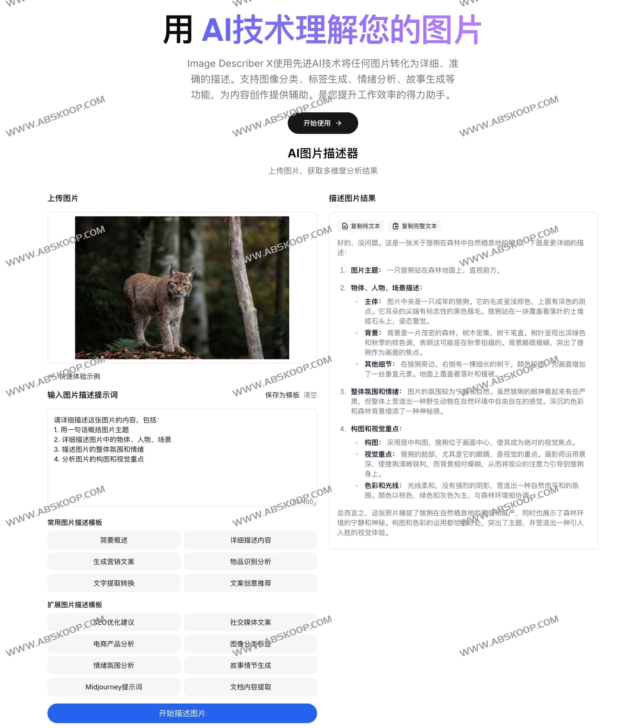 Image Describer X:免费AI图像描述神器 让每张图片“开口说话” Image Describer X:免费AI图像描述神器 让每张图片“开口说话”