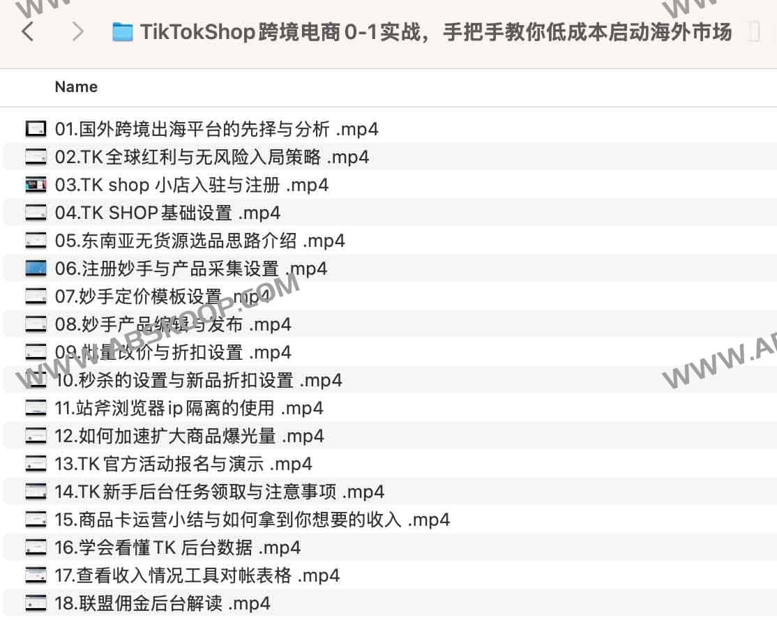 TikTokShop跨境电商0-1实战,手把手教你低成本启动海外市场 TikTokShop跨境电商0-1实战,手把手教你低成本启动海外市场