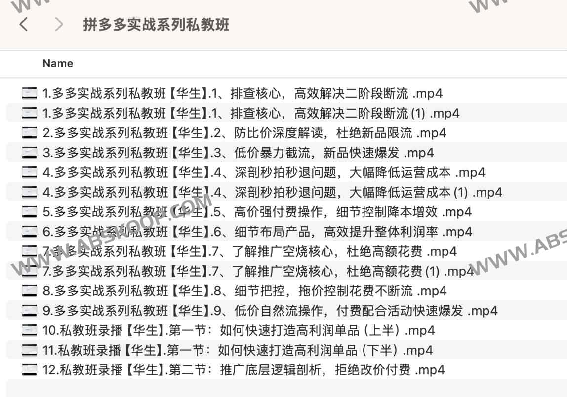2025年拼多多实战系列私教班 2025年拼多多实战系列私教班