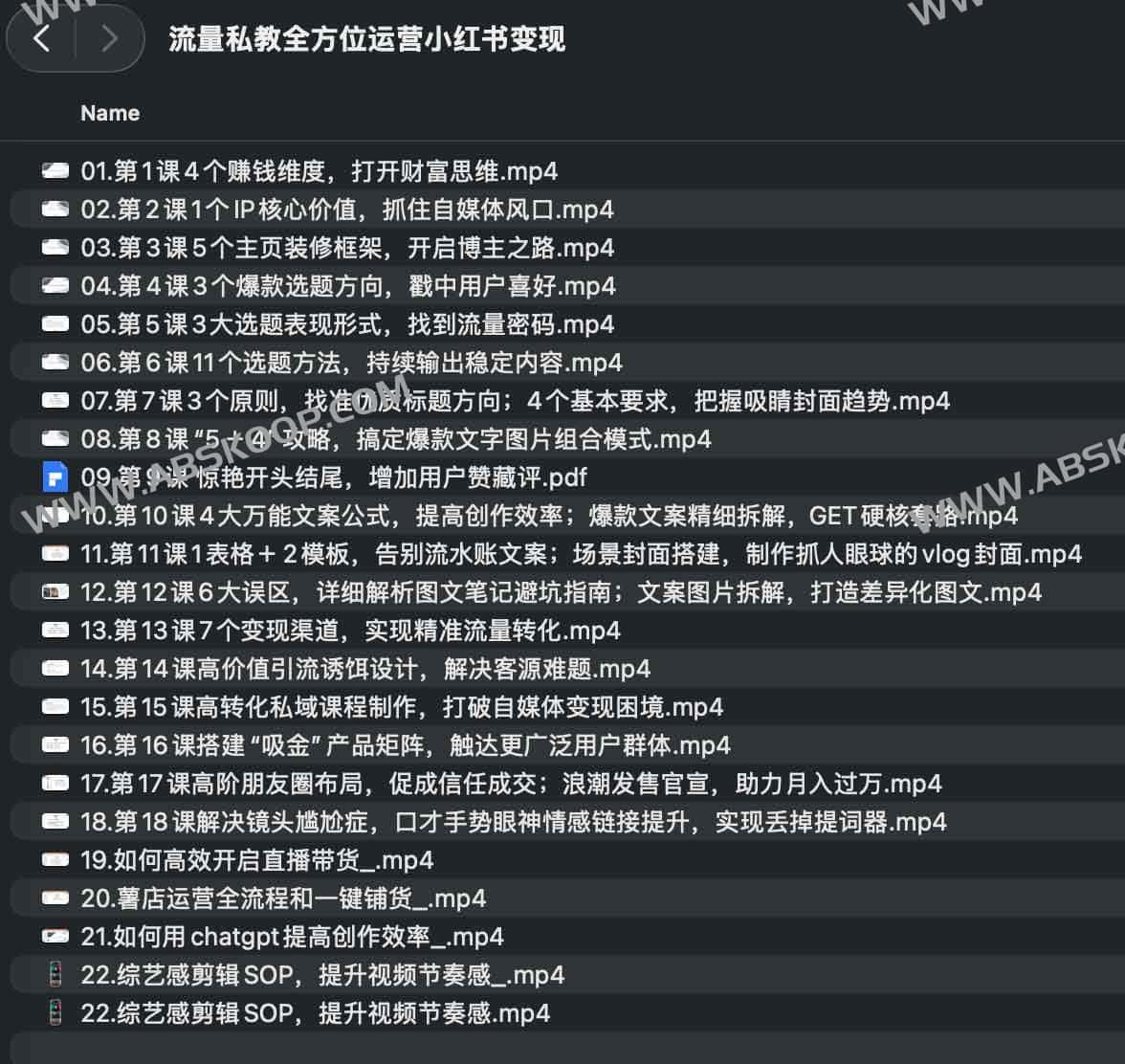 流量私教全方位运营小红书变现 流量私教全方位运营小红书变现