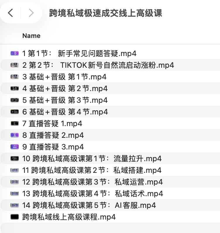 跨境私域极速成交线上高级课 跨境私域极速成交线上高级课