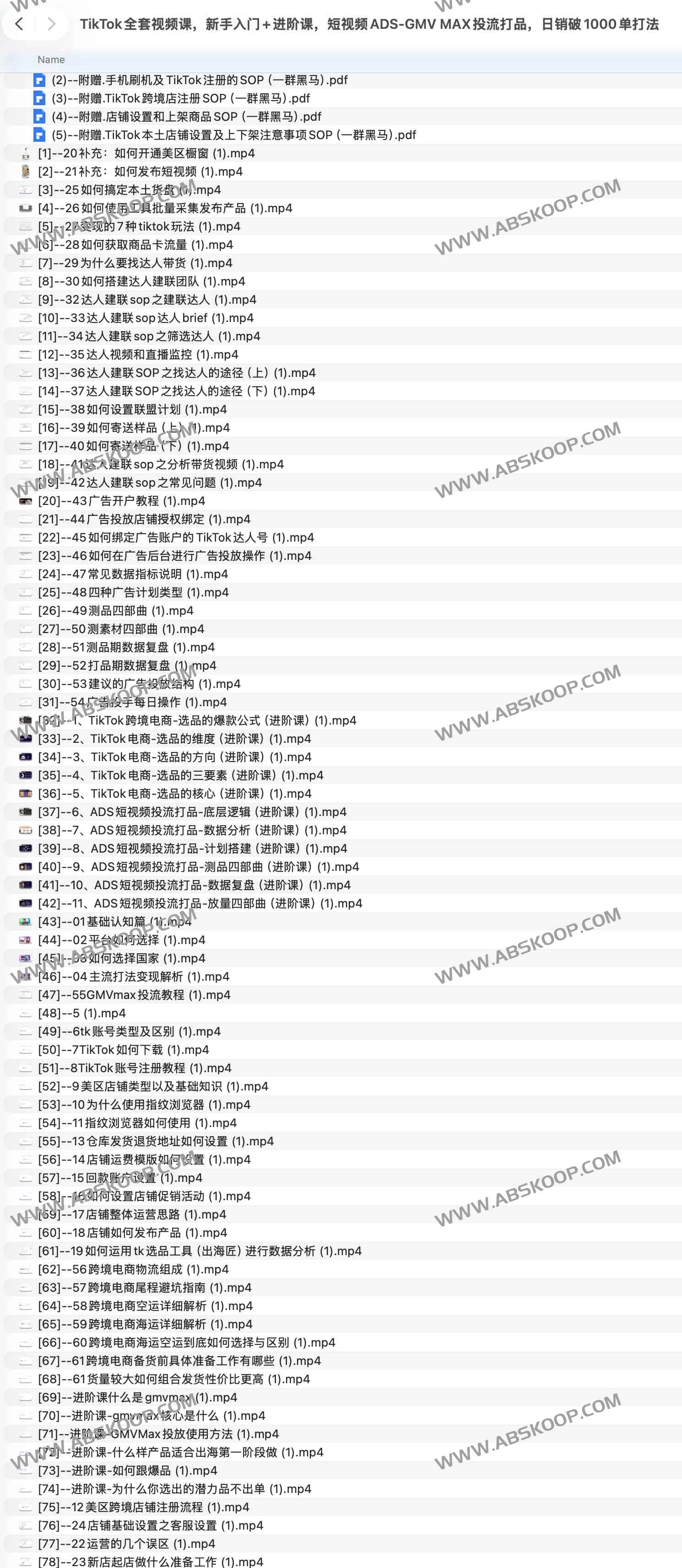 TikTok全套电商实战课:ADS投流+达人带货+GMV MAX增长打法 TikTok全套电商实战课:ADS投流+达人带货+GMV MAX增长打法