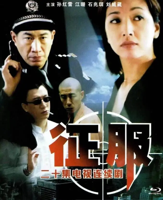 征服2003全集1080P国语中字