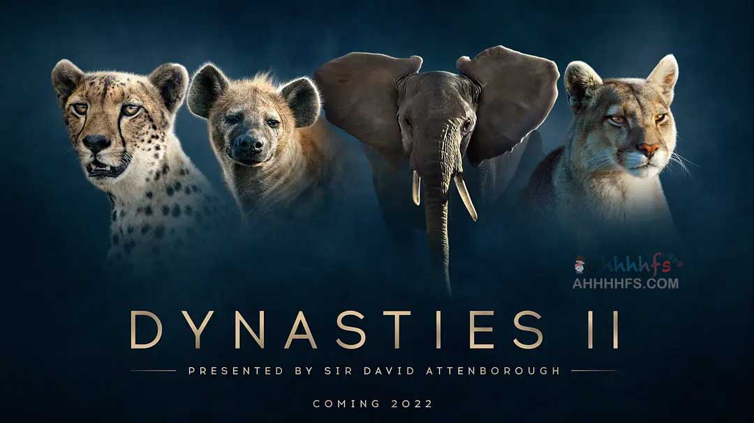 王朝 第二季 Dynasties Season...
