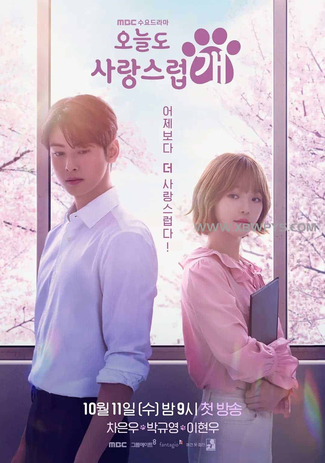 今天也很可爱的狗 오늘도 사랑...