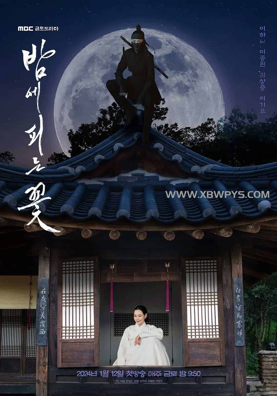 夜晚开的花 밤에 피는 꽃 (2024)中文字幕1080p