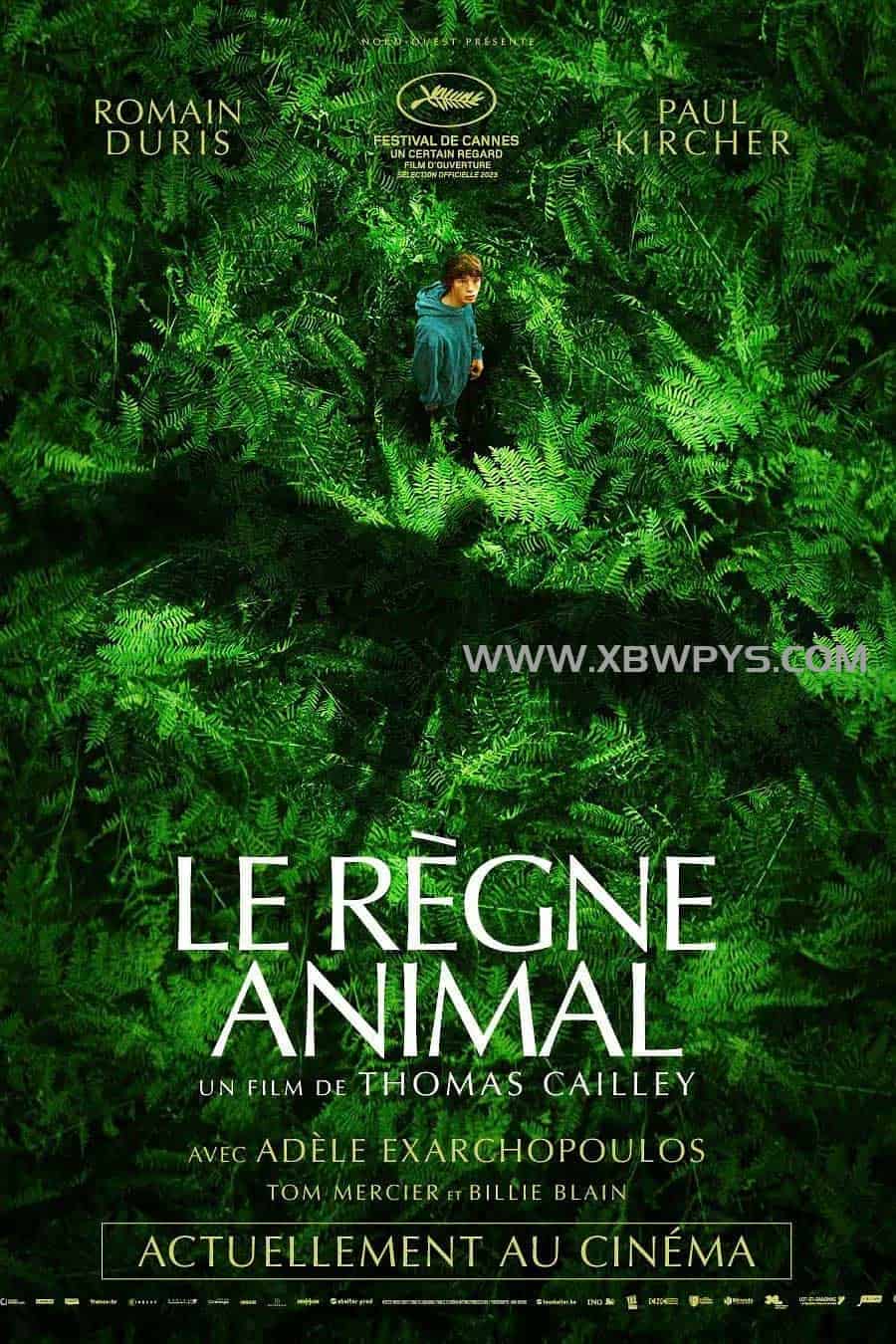 动物王国 Le règne animal (2023)中文字幕1080p