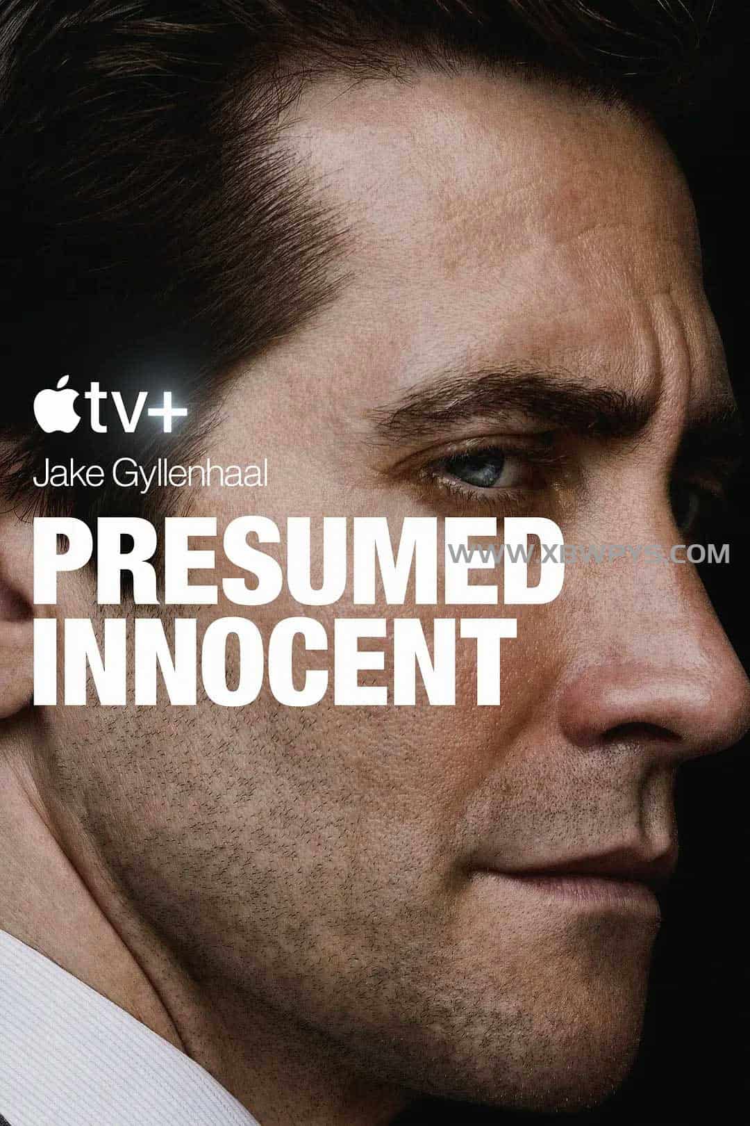 无罪的罪人 第一季 Presumed Innocent Season 1 (2024)中文字幕4K 2160p
