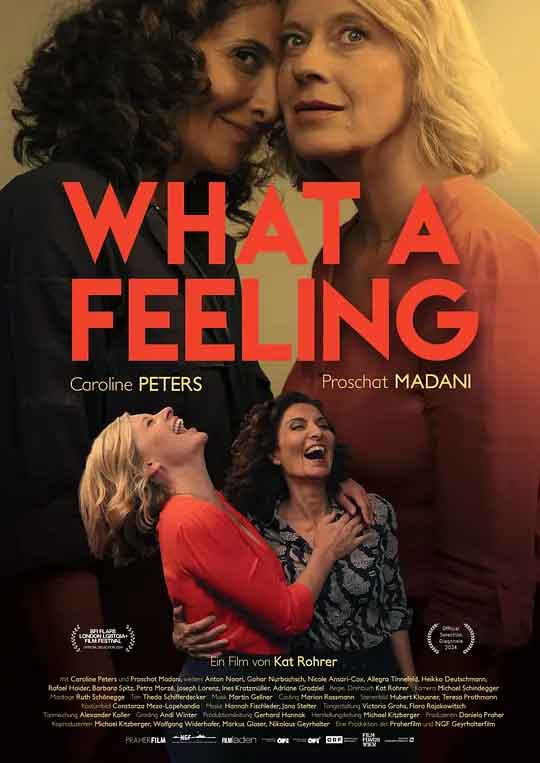 此刻姬情 What a Feeling (202...