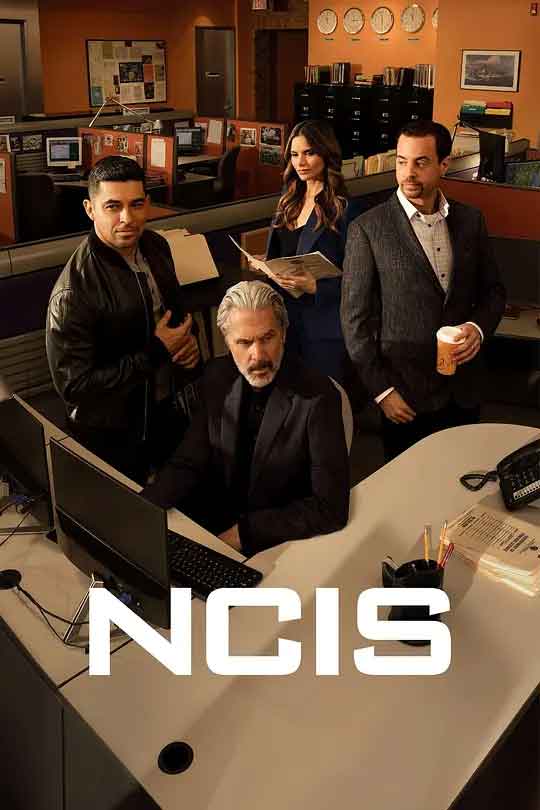 海军罪案调查处 第二十二季 NCIS: Naval Criminal Investigative Service Season 22 (2024)