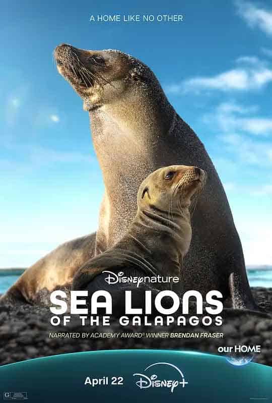 海狮利奥环岛记 Sea Lions of the Galápagos (2025)