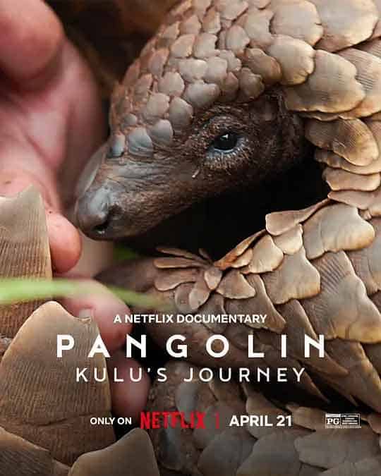 穿山甲Kulu的旅程 Pangolin: Kulu’s Journey (2025)