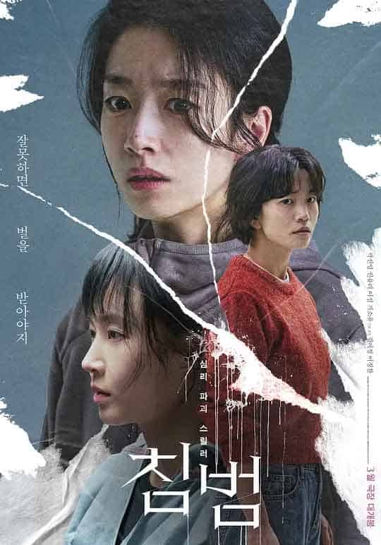 侵犯 침범 (2024)